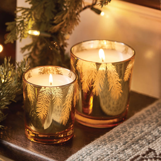 Frasier Fir Gilded Candle 13 oz