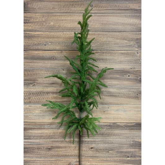 Norfolk Pine Spray 36"