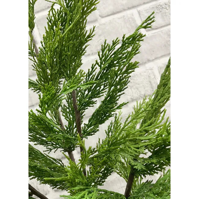 Whispy Cedar Bush 20"